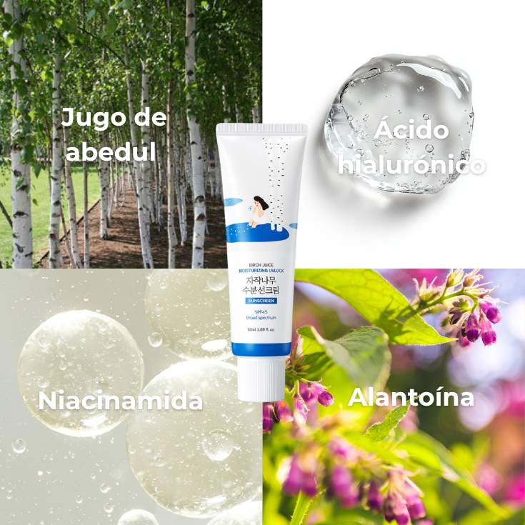 PROTECTOR SOLAR - Round Lab Birch Juice Moisturizing Sunscreen