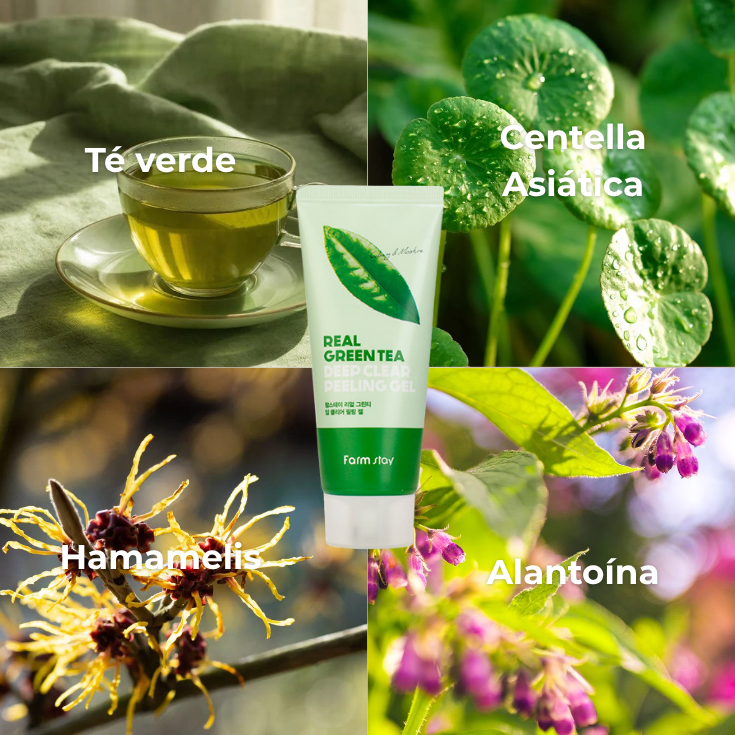 EXFOLIANTE FACIAL - Exfoliante green tea farmstay